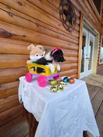 Gigi, a female Australian Shepherd for sale in Centerville, IA – Photo 5 of 6