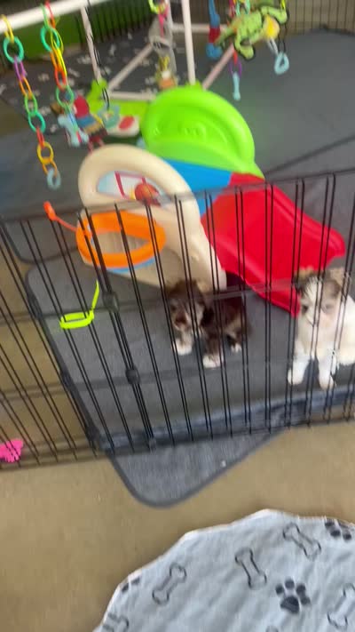 Facility video