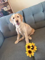 processed/b581d27f-37b8-4999-96bc-1fcc34982c20/listing/3c7247b2-6100-4e90-987f-3226664eaad1/4fc2ef28-0796-40b4-8096-0b55d980975b