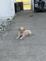 processed/b581d27f-37b8-4999-96bc-1fcc34982c20/listing/3c7247b2-6100-4e90-987f-3226664eaad1/96810cc6-4123-4c98-bb71-91ac65afcebf