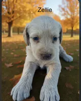 processed/b581d27f-37b8-4999-96bc-1fcc34982c20/listing/3c7247b2-6100-4e90-987f-3226664eaad1/ce7513e6-10ec-43ef-9aa5-6db26d1a836b