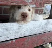 processed/b581d27f-37b8-4999-96bc-1fcc34982c20/listing/8e4f9326-dc8e-4776-b52d-8db04d4b399c/2c1b0c90-6670-4da0-b4aa-fdb7af08b0f8