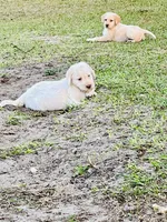 processed/b581d27f-37b8-4999-96bc-1fcc34982c20/listing/8e4f9326-dc8e-4776-b52d-8db04d4b399c/2f24be91-353d-4ef9-a5b5-44cd58332787