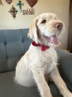 processed/b581d27f-37b8-4999-96bc-1fcc34982c20/listing/8e4f9326-dc8e-4776-b52d-8db04d4b399c/7b92a779-49c7-4dda-b733-3c8cabff3c4a