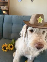 processed/b581d27f-37b8-4999-96bc-1fcc34982c20/listing/8e4f9326-dc8e-4776-b52d-8db04d4b399c/8f442865-6761-417a-a416-050ba7618b66