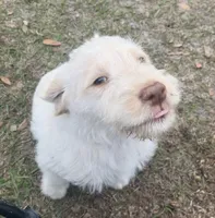 processed/b581d27f-37b8-4999-96bc-1fcc34982c20/listing/8e4f9326-dc8e-4776-b52d-8db04d4b399c/94c35912-0e8a-4fed-bf44-14ad67e69730