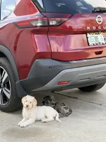 processed/b581d27f-37b8-4999-96bc-1fcc34982c20/listing/8e4f9326-dc8e-4776-b52d-8db04d4b399c/ac4c4829-a28d-4acd-b805-8a4898ce08ae