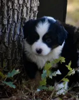 processed/b582ef5b-3f97-4952-a9a3-a5b052574f1f/listing/6d38e80f-b7ac-467e-a788-d73022f0ac4a/0903fb3b-291f-4f61-8706-9fcf775782bd