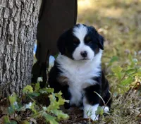 processed/b582ef5b-3f97-4952-a9a3-a5b052574f1f/listing/6d38e80f-b7ac-467e-a788-d73022f0ac4a/1766f17e-1b42-4d4c-a324-770b5578fc50