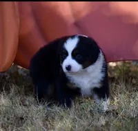 processed/b582ef5b-3f97-4952-a9a3-a5b052574f1f/listing/6d38e80f-b7ac-467e-a788-d73022f0ac4a/8db8356e-25ae-49e3-8f7e-4d6cf7115560