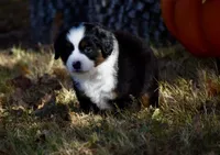 processed/b582ef5b-3f97-4952-a9a3-a5b052574f1f/listing/6d38e80f-b7ac-467e-a788-d73022f0ac4a/bea59d5e-7bbf-49cd-82cd-205384fdd17b