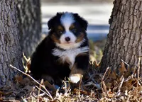 processed/b582ef5b-3f97-4952-a9a3-a5b052574f1f/listing/79307536-a071-489f-bc3e-13129a27caf5/3489205e-7c86-4552-b004-02d14305e7a6