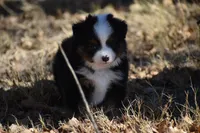 processed/b582ef5b-3f97-4952-a9a3-a5b052574f1f/listing/79307536-a071-489f-bc3e-13129a27caf5/73d9858f-e7d5-4bd2-ba9e-339e618023d0