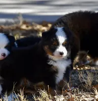 processed/b582ef5b-3f97-4952-a9a3-a5b052574f1f/listing/79307536-a071-489f-bc3e-13129a27caf5/c04b1f4c-1d3c-46d7-96a5-ef7eb11b53a8