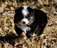 processed/b582ef5b-3f97-4952-a9a3-a5b052574f1f/listing/79307536-a071-489f-bc3e-13129a27caf5/c3280856-7483-4979-99d2-2ac8ea483874