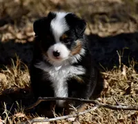 processed/b582ef5b-3f97-4952-a9a3-a5b052574f1f/listing/79307536-a071-489f-bc3e-13129a27caf5/d99062b0-0869-442c-b18d-41e4543f8ffc