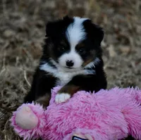 processed/b582ef5b-3f97-4952-a9a3-a5b052574f1f/listing/79307536-a071-489f-bc3e-13129a27caf5/da23ace4-5cd6-436b-b49c-39979d0184d5