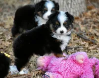 processed/b582ef5b-3f97-4952-a9a3-a5b052574f1f/listing/79307536-a071-489f-bc3e-13129a27caf5/f3b60694-6dc2-4062-ae84-94a4b49b7fe1