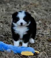 processed/b582ef5b-3f97-4952-a9a3-a5b052574f1f/listing/a3654881-3d30-46e4-81aa-f04be331b9c2/52cd4c94-5998-42ec-b64e-0909296a1658