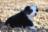 processed/b582ef5b-3f97-4952-a9a3-a5b052574f1f/listing/a3654881-3d30-46e4-81aa-f04be331b9c2/7ec92fbe-7573-42bf-b11e-288992fc9ee5