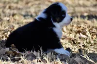 processed/b582ef5b-3f97-4952-a9a3-a5b052574f1f/listing/a3654881-3d30-46e4-81aa-f04be331b9c2/9aae123a-0e29-47d9-b0d0-6d5ad4a2771b