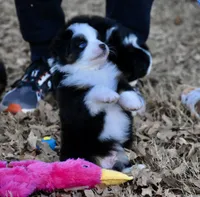 processed/b582ef5b-3f97-4952-a9a3-a5b052574f1f/listing/a3654881-3d30-46e4-81aa-f04be331b9c2/aae78e28-c224-4a00-b657-22e4b4ee4843