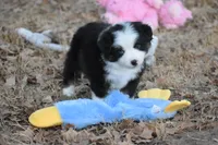 processed/b582ef5b-3f97-4952-a9a3-a5b052574f1f/listing/a3654881-3d30-46e4-81aa-f04be331b9c2/deac108f-afc7-4a98-8a49-acad780c54cb