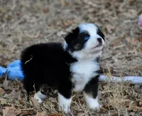 processed/b582ef5b-3f97-4952-a9a3-a5b052574f1f/listing/a3654881-3d30-46e4-81aa-f04be331b9c2/dfd38d30-9d55-4bce-8913-b3a5064a790f