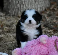 processed/b582ef5b-3f97-4952-a9a3-a5b052574f1f/listing/a3654881-3d30-46e4-81aa-f04be331b9c2/f5e20f00-4b38-49f7-bb92-dcf8361994b2