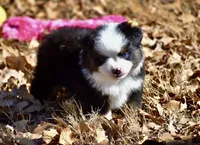 processed/b582ef5b-3f97-4952-a9a3-a5b052574f1f/listing/a4ae90f1-43d0-4d7c-a56b-0bb5edfd4bc5/118f2235-9999-4a22-9135-8ef5a344ce27