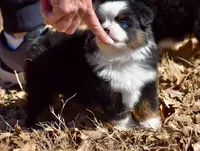 processed/b582ef5b-3f97-4952-a9a3-a5b052574f1f/listing/a4ae90f1-43d0-4d7c-a56b-0bb5edfd4bc5/4687f0b9-9818-47ce-a0e8-e47029ddeb2e