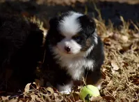 processed/b582ef5b-3f97-4952-a9a3-a5b052574f1f/listing/a4ae90f1-43d0-4d7c-a56b-0bb5edfd4bc5/5a510866-1b07-49d8-997f-37794107ab2e