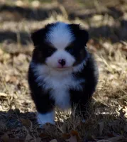 processed/b582ef5b-3f97-4952-a9a3-a5b052574f1f/listing/a4ae90f1-43d0-4d7c-a56b-0bb5edfd4bc5/c199b276-53de-426c-b381-9721242eea10