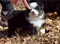 processed/b582ef5b-3f97-4952-a9a3-a5b052574f1f/listing/a4ae90f1-43d0-4d7c-a56b-0bb5edfd4bc5/d720fead-105c-4ef6-a536-f653eeab0d22