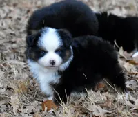 processed/b582ef5b-3f97-4952-a9a3-a5b052574f1f/listing/a4ae90f1-43d0-4d7c-a56b-0bb5edfd4bc5/f45d2238-8c15-4d7d-8d6d-10ddec5988b6