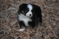 processed/b582ef5b-3f97-4952-a9a3-a5b052574f1f/listing/ad540731-d242-4cd1-a280-5955c2e7ecad/2763a66f-3087-451a-bbb3-9efd72756393