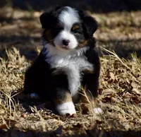 processed/b582ef5b-3f97-4952-a9a3-a5b052574f1f/listing/ad540731-d242-4cd1-a280-5955c2e7ecad/64c6fa60-7428-4403-8404-ed9008f97f4f