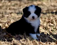 processed/b582ef5b-3f97-4952-a9a3-a5b052574f1f/listing/ad540731-d242-4cd1-a280-5955c2e7ecad/6c5bc41c-3a42-406e-8578-4e36e22872ef