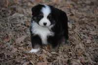 processed/b582ef5b-3f97-4952-a9a3-a5b052574f1f/listing/ad540731-d242-4cd1-a280-5955c2e7ecad/7c6dcf7f-8086-4890-b91d-3dc4eb3d8f7e