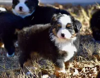 processed/b582ef5b-3f97-4952-a9a3-a5b052574f1f/listing/ad540731-d242-4cd1-a280-5955c2e7ecad/8654ae9d-524d-4e0e-9328-fbb02138a6b1