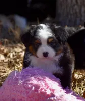 processed/b582ef5b-3f97-4952-a9a3-a5b052574f1f/listing/ad540731-d242-4cd1-a280-5955c2e7ecad/bd7406dd-a55b-43bc-890d-e1dbb38b935c