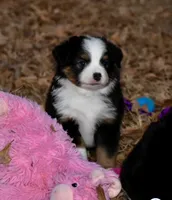 processed/b582ef5b-3f97-4952-a9a3-a5b052574f1f/listing/ad540731-d242-4cd1-a280-5955c2e7ecad/ef8e329b-3d23-4b41-8dc7-9ee32c3fd118