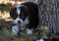 processed/b582ef5b-3f97-4952-a9a3-a5b052574f1f/listing/b4705c14-7847-4cf2-aca4-1c038f714eec/513afd1a-fa2c-473c-995b-f6a8b4111b78