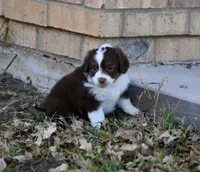 processed/b582ef5b-3f97-4952-a9a3-a5b052574f1f/listing/b4705c14-7847-4cf2-aca4-1c038f714eec/e8a42fc1-af55-42e7-93e4-b58a17e5056f