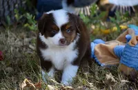 processed/b582ef5b-3f97-4952-a9a3-a5b052574f1f/listing/baad20b3-e32e-4f22-a0f0-cb42f7449813/a6e8cd32-05e8-4cbc-be48-c0684ab623ac