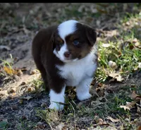 processed/b582ef5b-3f97-4952-a9a3-a5b052574f1f/listing/baad20b3-e32e-4f22-a0f0-cb42f7449813/d057d655-762f-4cc2-bafe-362d528c8674