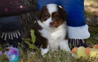 processed/b582ef5b-3f97-4952-a9a3-a5b052574f1f/listing/baad20b3-e32e-4f22-a0f0-cb42f7449813/dc067229-347d-44fe-b36d-e3692f0777bd