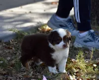 processed/b582ef5b-3f97-4952-a9a3-a5b052574f1f/listing/baad20b3-e32e-4f22-a0f0-cb42f7449813/f9177a05-4629-4732-a17b-c249b137d85b