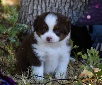 processed/b582ef5b-3f97-4952-a9a3-a5b052574f1f/listing/d0249113-ef25-4554-8bba-bf35eb6a05b7/55c11ef1-ee95-47c0-a1d0-525e1e97d6c5