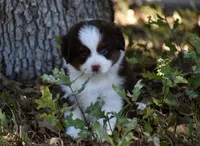 processed/b582ef5b-3f97-4952-a9a3-a5b052574f1f/listing/d0249113-ef25-4554-8bba-bf35eb6a05b7/bd8f9799-95a4-4b67-998b-2621e47ed8b9